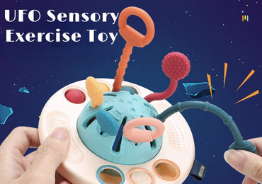 Sensory Development Baby Toys