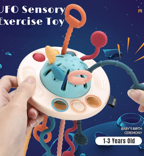 Sensory Development Baby Toys