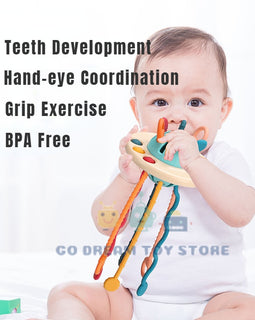 Sensory Development Baby Toys